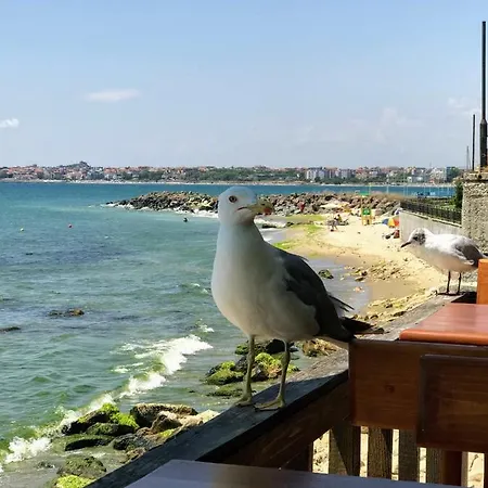 Niko's Deluxe Apartament