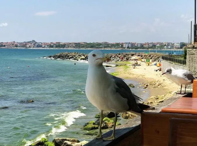 Niko's Deluxe Apartment